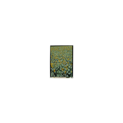 İyi bir fiyat. 720*1280 LS053K3SX01 5.3 inç tft lcd ekran LCD ekran cep telefonu için çevrimiçi
