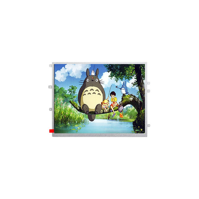 İyi bir fiyat. 1024*768 TM097TFH02 9.7 inç LCD ekran TFT LCD panelli çevrimiçi