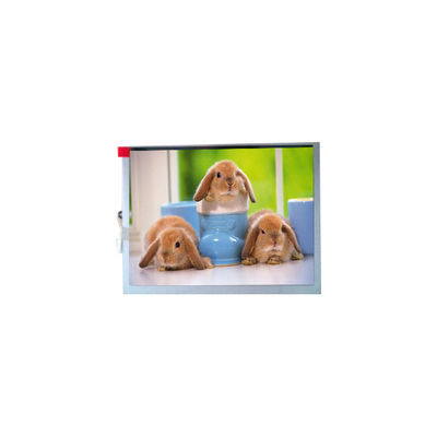 İyi bir fiyat. Yeni TM070SDH03 800*600 7.0 inç TFT-LCD Ekran Panelli çevrimiçi