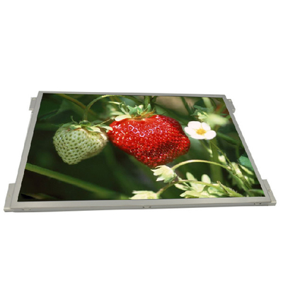 İyi bir fiyat. G104XVN01.0 1024x768 IPS Endüstriyel 10.4 İnç LCD Ekran çevrimiçi
