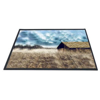 İyi bir fiyat. AUO 10.1 inç B101XAN01.2 1366x768 TFT LCD Panel Ekran çevrimiçi